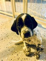 DavidCook's Avatar