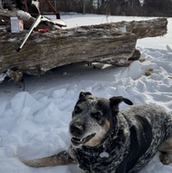 Clark McCombe's Avatar